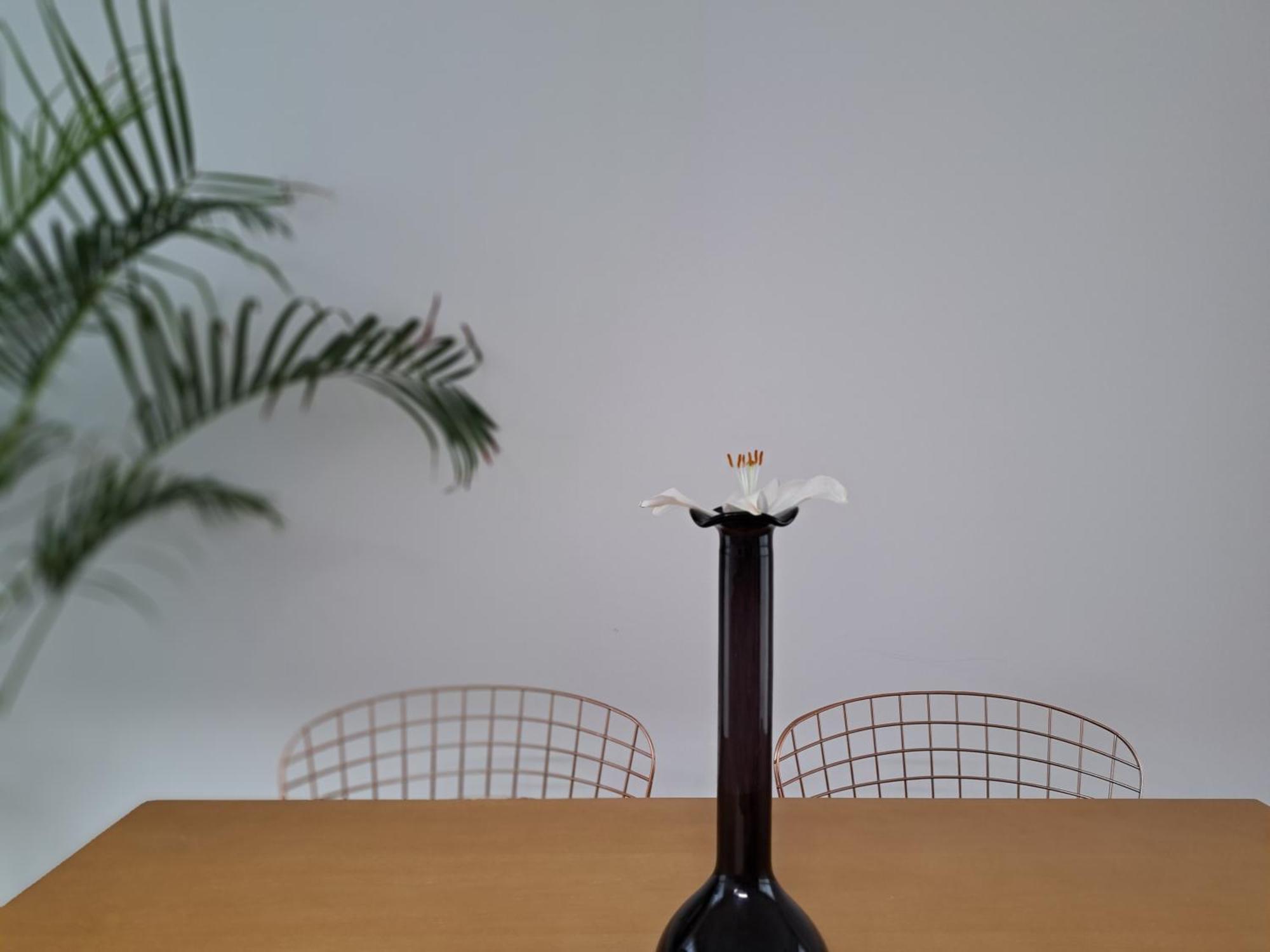 Los Patios. 플라센시아 외부 사진